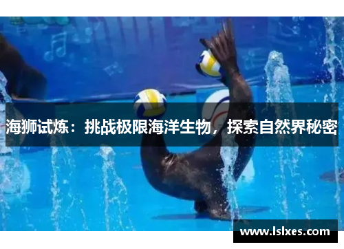 海狮试炼：挑战极限海洋生物，探索自然界秘密
